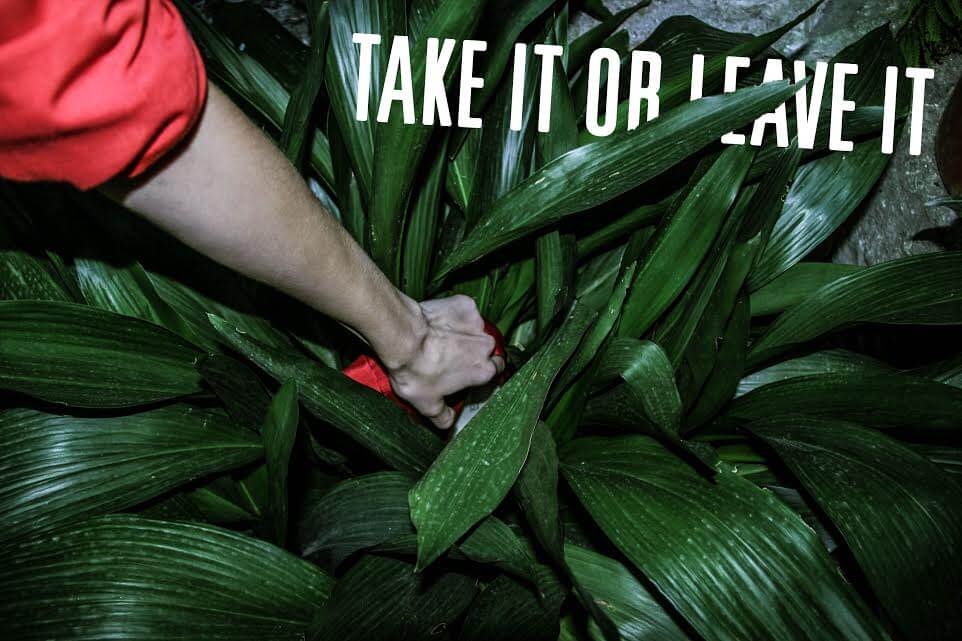 Take it or leave it - campaign shot by Maria Pincikova